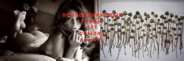 гашик Киренск