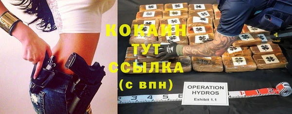 гашик Киренск