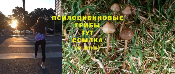 мяу мяу мука Киреевск