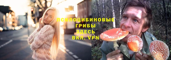 МДПВ Кинешма