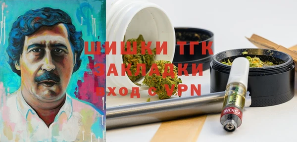 прущие грибы Козловка